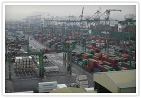 Large container port with multiple cranes